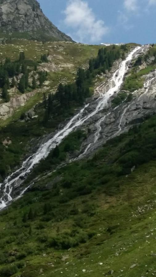 Haus Elisabeth Daire Mittersill Dış mekan fotoğraf